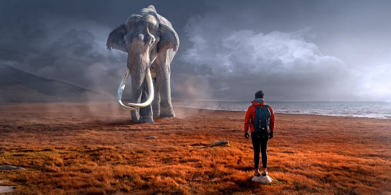 Mythical Fauna